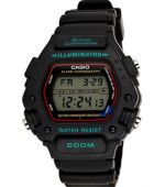 CASIO DW-290-1V