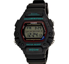 CASIO DW-290-1V