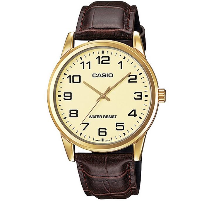 casio co